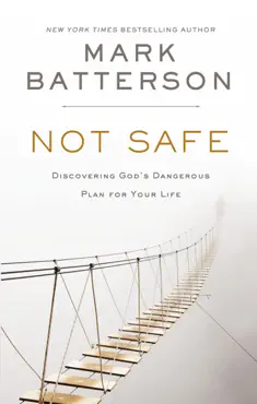not safe book cover image