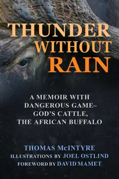 thunder without rain book cover image