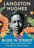 Blues in Stereo synopsis, comments