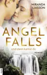 Angel Falls - Und dann kamst du synopsis, comments