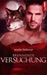 Brennende Versuchung synopsis, comments