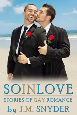 so in love box set book cover image