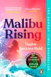 Malibu Rising sinopsis y comentarios
