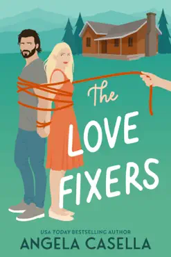 the love fixers book cover image