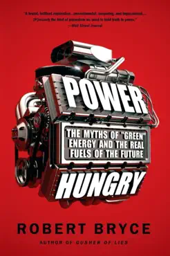 power hungry book cover image