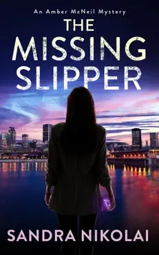 the missing slipper book cover image