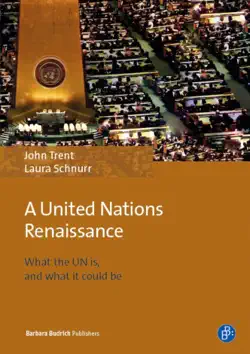 a united nations renaissance book cover image