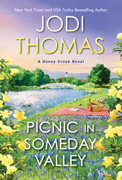 picnic in someday valley book cover image