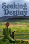 Seeking Destiny synopsis, comments