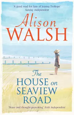 the house on seaview road book cover image