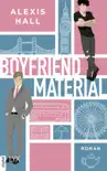 Boyfriend Material sinopsis y comentarios