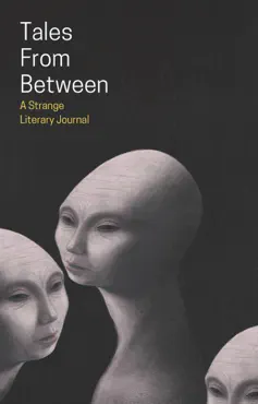 tales from between book cover image