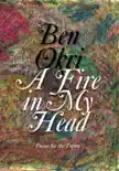 A Fire in My Head synopsis, comments