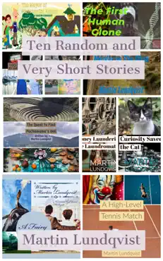 ten random and very short stories book cover image
