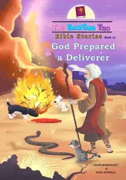 god prepared a deliverer book cover image