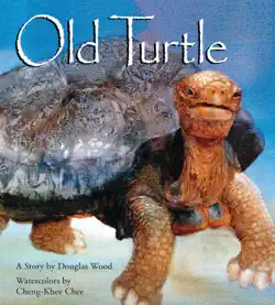 old turtle book cover image