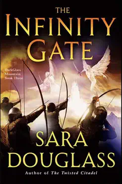 the infinity gate book cover image