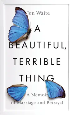 a beautiful, terrible thing book cover image