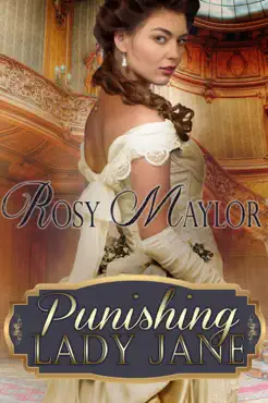 punishing lady jane book cover image