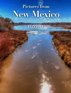 pictures from new mexico book cover image