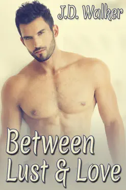between lust and love box set book cover image
