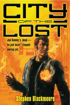 city of the lost book cover image