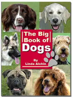 the big book of dogs book cover image