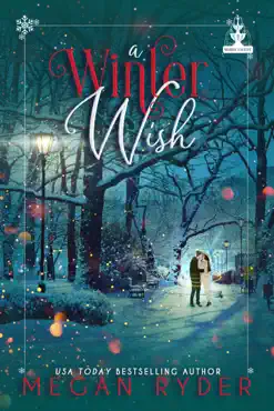 a winter wish book cover image