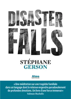 disaster falls book cover image