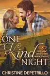 One Kind Night synopsis, comments