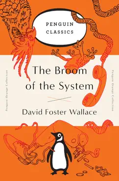 the broom of the system book cover image