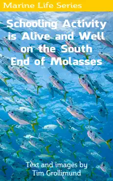 schooling activity is alive and well on the south end of molasses book cover image