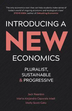 introducing a new economics book cover image