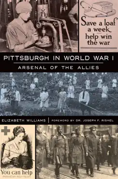 pittsburgh in world war i book cover image