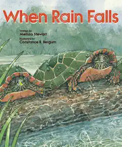when rain falls book cover image