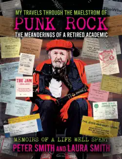 my travels through the maelstrom of punk rock book cover image
