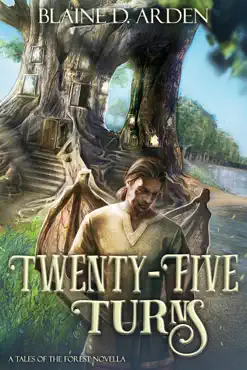 twenty-five turns book cover image