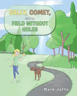 sally, comet, and the field without holes book cover image