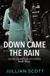 Down Came the Rain synopsis, comments