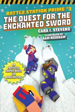 the quest for the enchanted sword imagen de la portada del libro