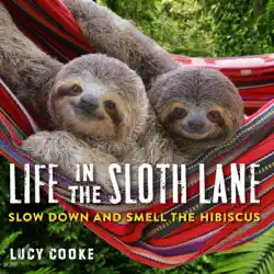 life in the sloth lane book cover image