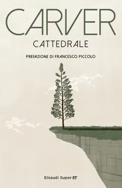 cattedrale book cover image
