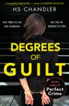 Degrees of Guilt synopsis, comments