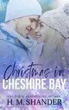 Christmas in Cheshire Bay synopsis, comments