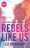 Rebels Like Us sinopsis y comentarios