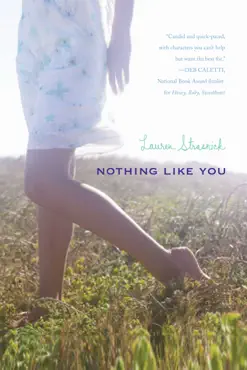 nothing like you book cover image