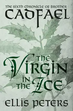 the virgin in the ice book cover image