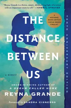 the distance between us book cover image