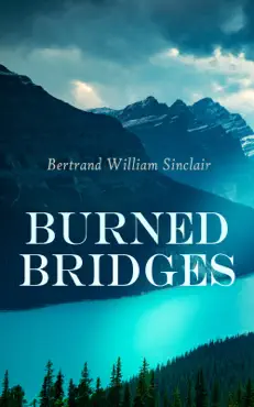 burned bridges book cover image