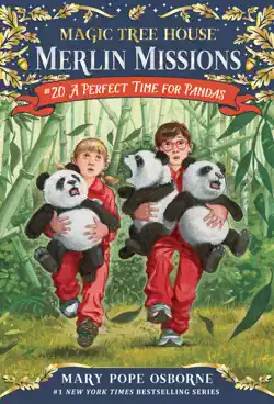 a perfect time for pandas book cover image